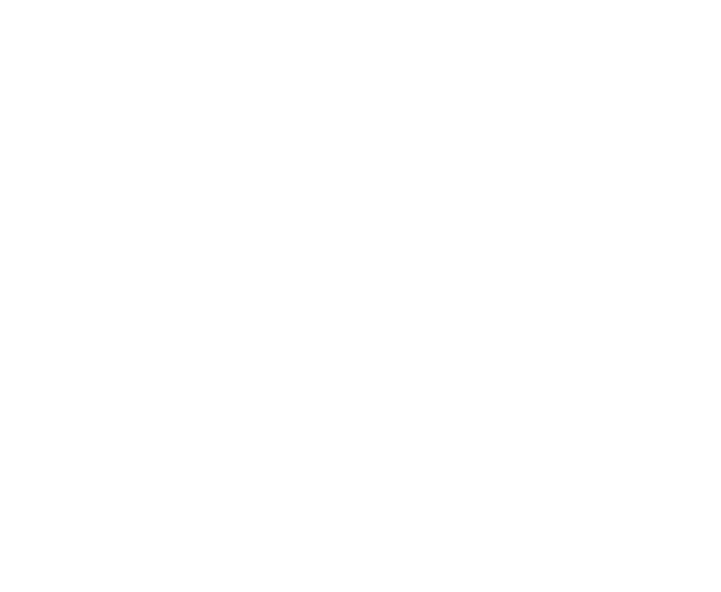 Evolution Window Tinting White