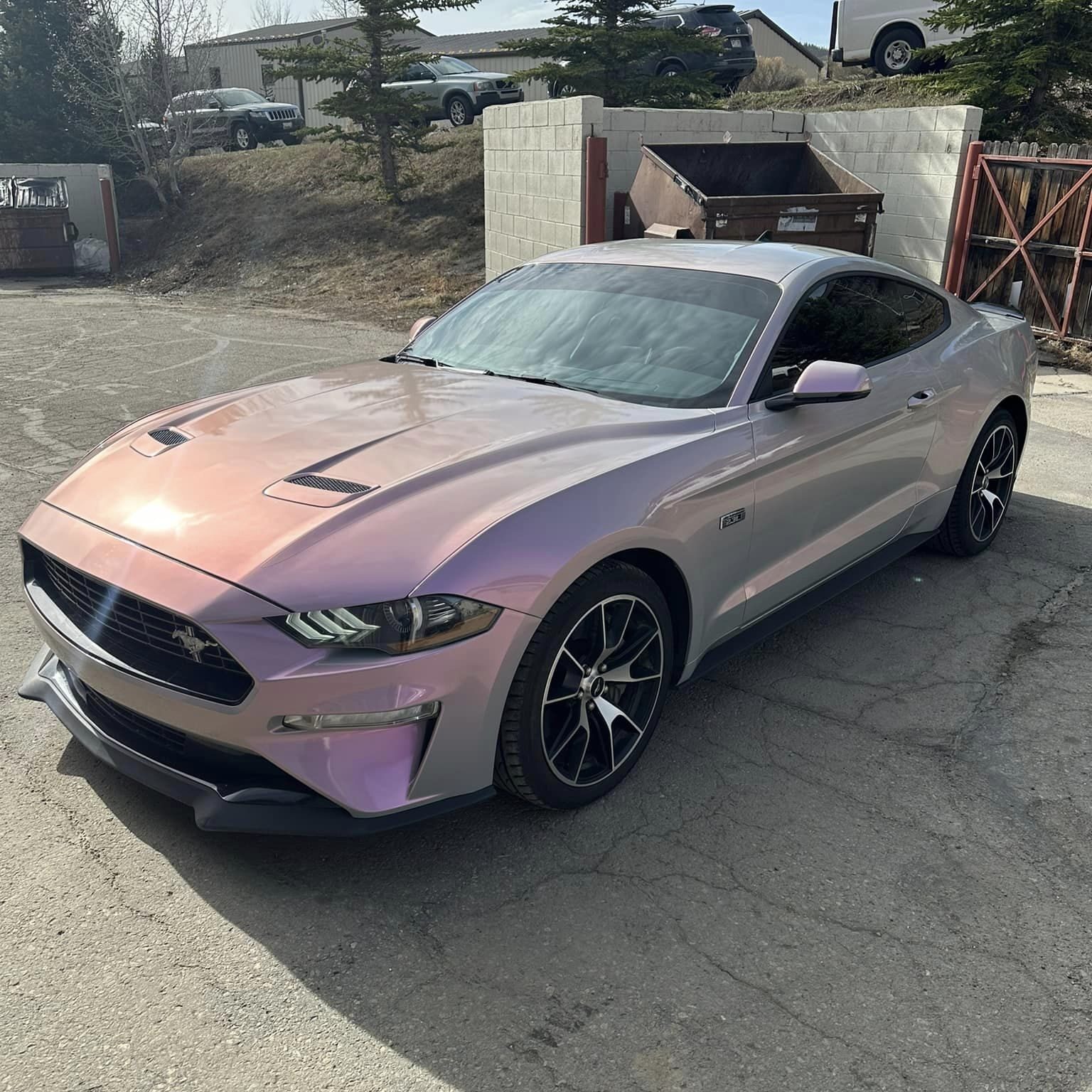 vinyl wrap services